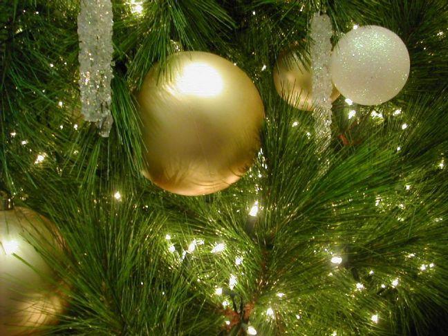 Make Hinton Your Hometown for Christmas