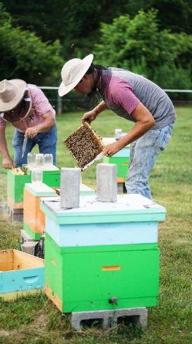 New ABCHoney.org Website to Sell West Virginia Honey