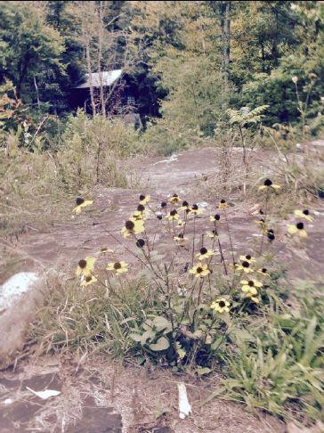 Summers County Commission to Preserve Historical Hidden Treasure with $25,000 Acquisition