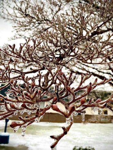 Storm That Impacted Nation, Had Little Sway In Summers