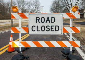Road Blocked by Trees