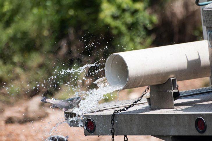 WVDNR shares trout stocking locations for week of April 4
