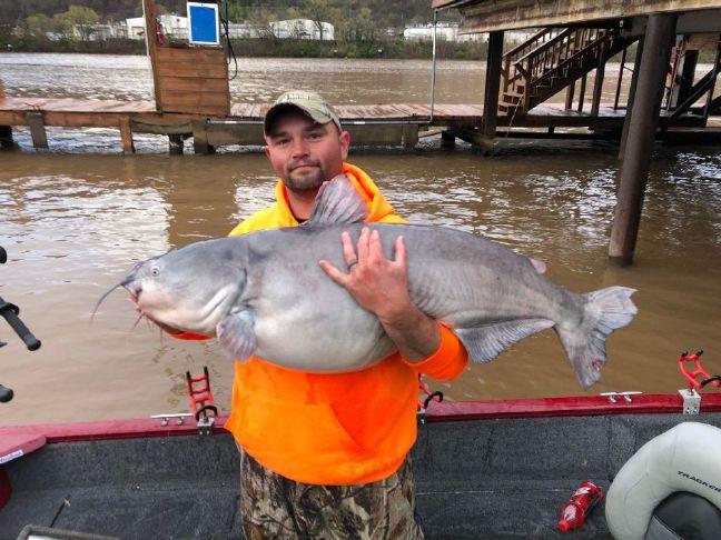 West Virginia angler breaks blue catfish weight record