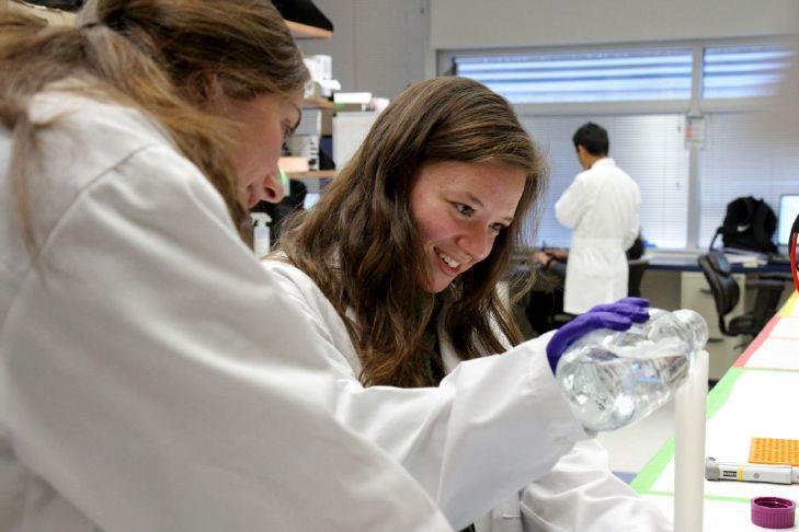 WVU student selected to present Alzheimer's research to members of Congress
