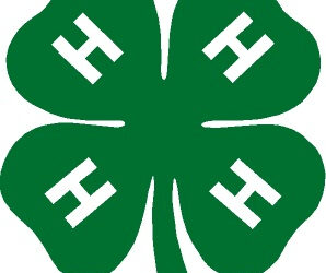 A look at Summers County 4-H Camp 2022