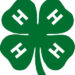 A look at Summers County 4-H Camp 2022