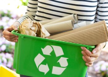 Recycle Lady: proper disposal of pesticides