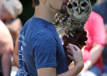 Falconry Demo one of highlights of Mountaineering Day