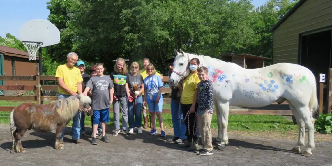 Another Successful Year for Beyond Wishes Therapeutic Riding Program