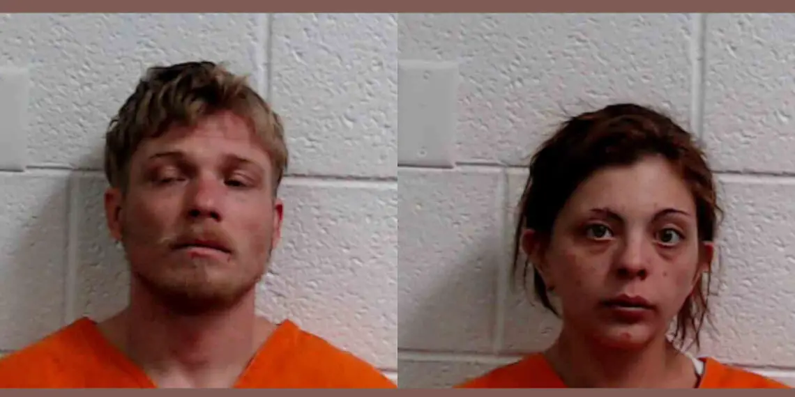 Two arrested in relation to assault investigation