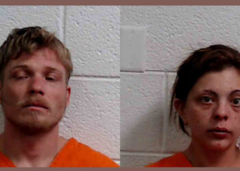 Two arrested in relation to assault investigation