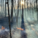 The Steep Valley Fire. Photo by Kathleen Smoot and provided by the National Park Service