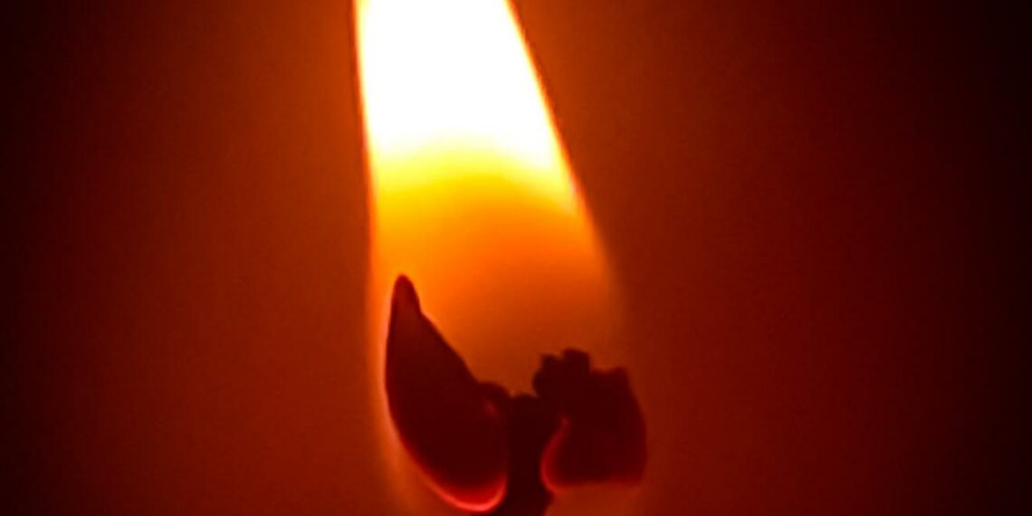 Quick Response from Summers County Firefighters Averts Disaster