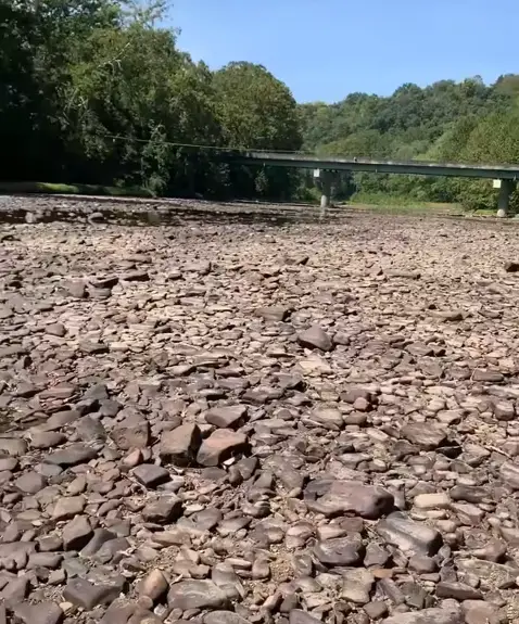 A look at the effects of the drought on the Greenbrier River in Renick. photo by Richard Adams