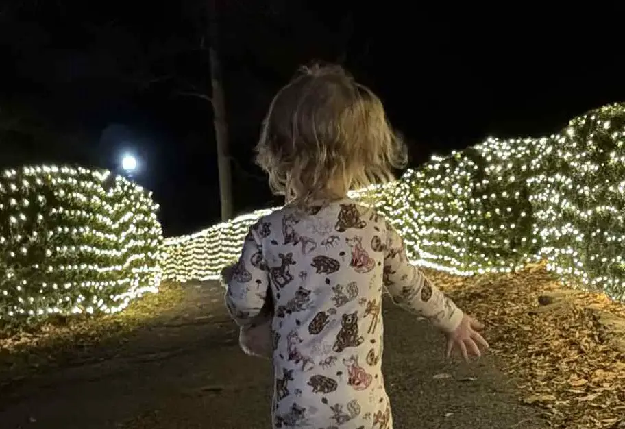 Rachel and Jayson's young granddaughter Stella in awe of the light display so far.