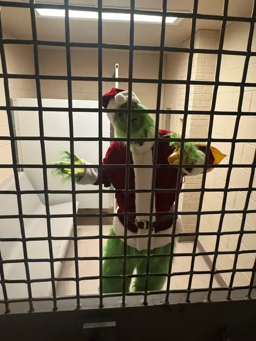 Photo courtesy of Summers County Sheriff's Department Facebook page