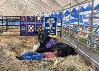 Jaedyn Funk created this masterpiece to win the 2026 State Fair Art Contest (Photo Courtesy: State Fair of WV)
