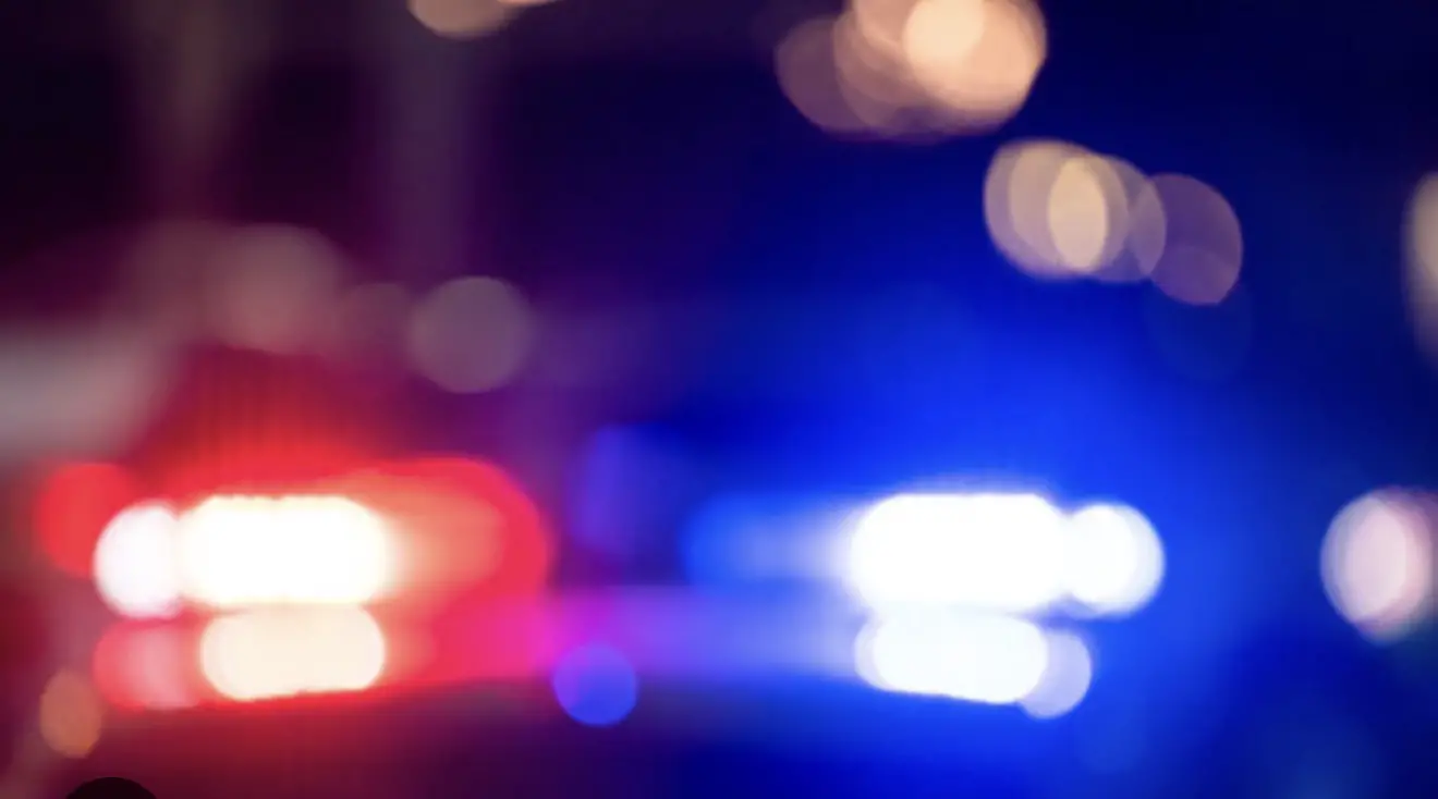 Adobe Stock Photo of police lights