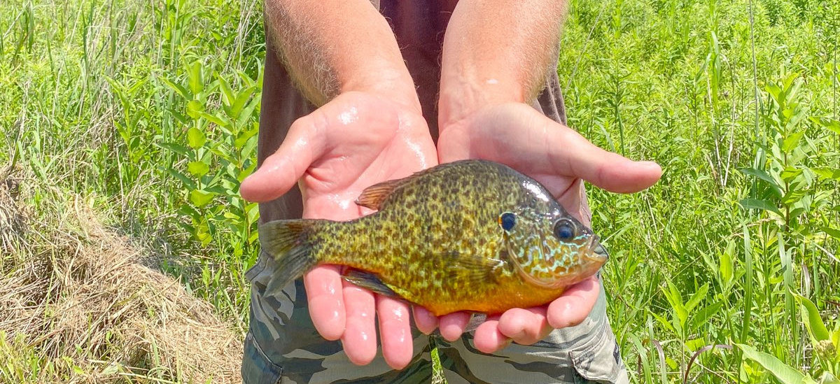 Ken Neer of Morgantown, West Virginia