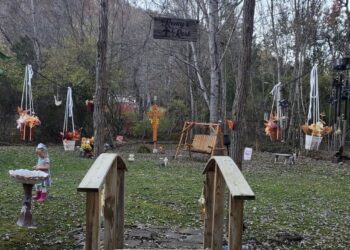 Remy's Rest, the cemetery spot in the field
