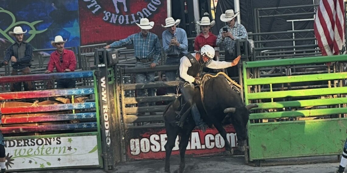 Buckin B Bull Riding from the 2025 State Fair of WV (Photo: Brandon Baker)