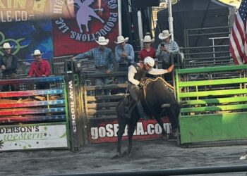 Buckin B Bull Riding from the 2025 State Fair of WV (Photo: Brandon Baker)