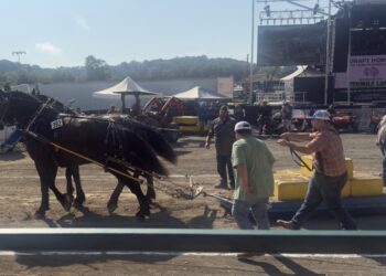 Photo from the Horse Pull in 2025.