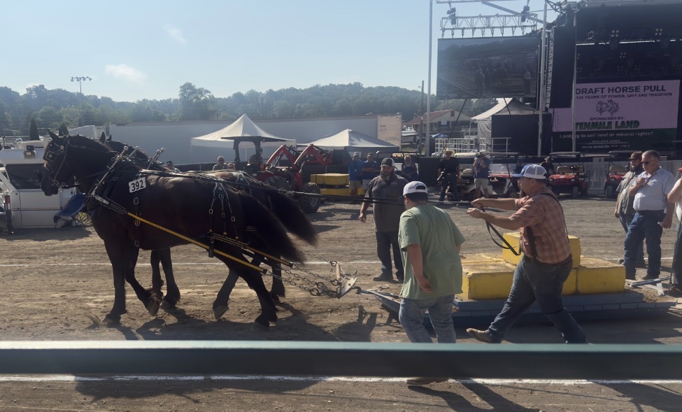 Photo from the Horse Pull in 2025.